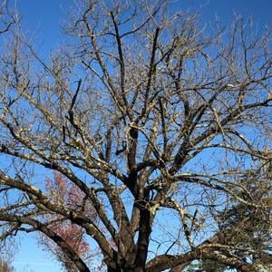 Meet your Posher, Rex